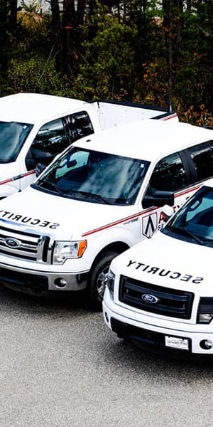 Windsor Ford Small Business Vehicles
